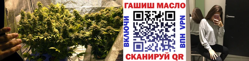 продажа наркотиков  Томари  ТГК концентрат 